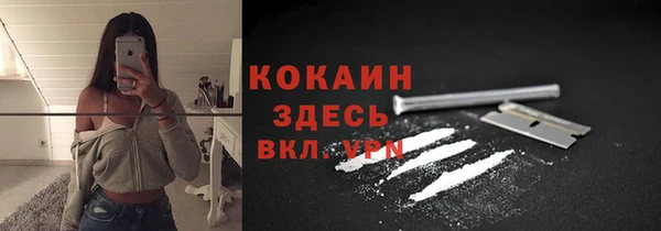 ПСИЛОЦИБИНОВЫЕ ГРИБЫ Богородицк