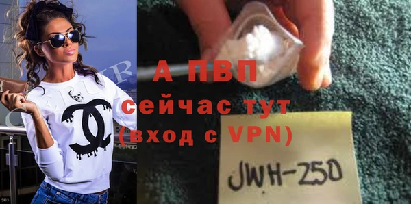 ПСИЛОЦИБИНОВЫЕ ГРИБЫ Богородицк