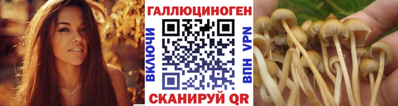 Псилоцибиновые грибы Magic Shrooms  Купить закладки  Лобня 